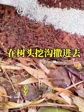 不是耕地的地方撒一撒#我的乡村生活 #环嗪酮