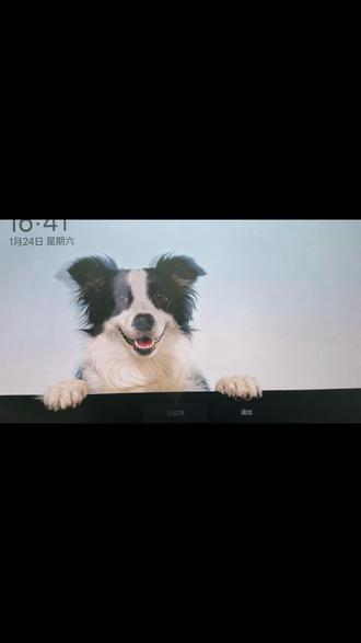 理想i6 OTA8.2✨毛孩子3D屏保萌化我! 理想i6的OTA8.2更新真的挖到宝了!作为铲屎官,最惊喜的就是新增的宠物裸眼3D屏保功能,直接把我家狗子的照片变成专属车载萌物🐶
操作超简单,车机点开艺术相框,选择裸眼3D萌宠模式,手机扫码上传照片,系统自动生成3D效果,连狗子的小绒毛都清晰可见,在屏幕上晃悠的样子超灵动!
现在每次上车解锁,看到软乎乎的小家伙在中控屏上“探头探脑”,连通勤堵车的烦躁都一扫而空,新手司机的开车幸福感直接被拉满!这波更新真的太懂铲屎官的心了💓#理想生活进行时 #把爱装进车里