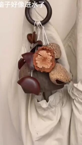 手作小型果壳风铃包挂自然植物治愈拉德棕色高级钥匙扣挂件手工#果壳风铃 #挂件 #手工diy#好物推荐