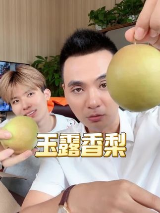 现摘现发的玉露香梨,清甜多汁,皮薄汁水多,好吃又划算#新鲜采摘#脆甜多汁 #强烈推荐 #应季水果 #吃货的日常