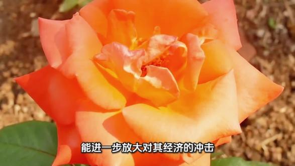 日方嘴硬死扛:如何击其软肋,一举致溃?