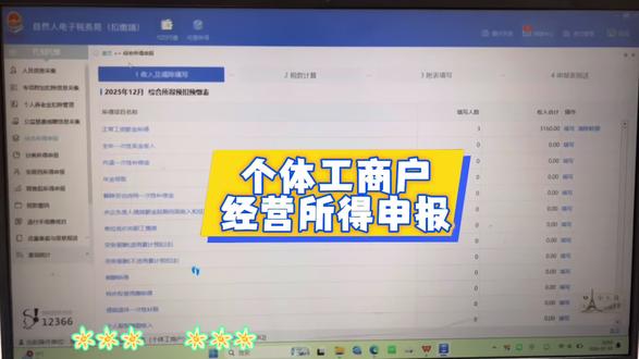 查账征收个体工商户经营所得如何申报#会计 #会计实操 #会计日常 #申报纳税