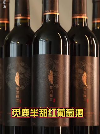 #红酒 #葡萄酒 #好酒推荐 #好喝不贵 #好酒
