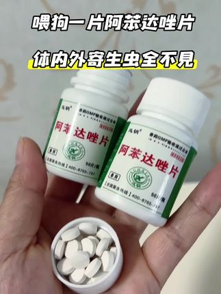 #猫狗驱虫 #驱虫的重要性