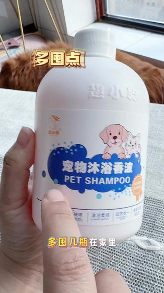 宠物沐浴露选对不选贵,就这个便宜又好用的宠物沐浴露也能洗出宠物店的效果,又香又干净#宠物沐浴露#狗狗洗澡#比熊 #猫咪洗澡乖乖的