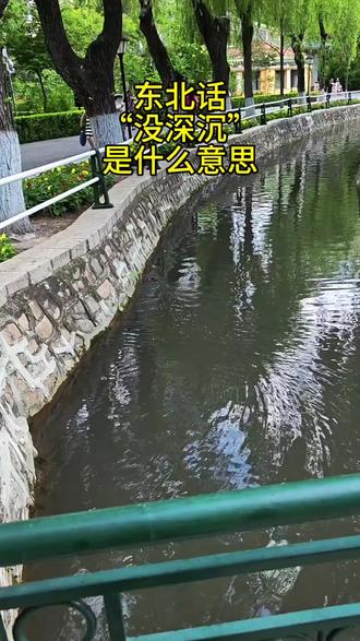 东北话“没深沉”是什么意思 #真实生活分享计划 #东北话 #知识分享 #日常唠嗑 #随走随拍记录生活