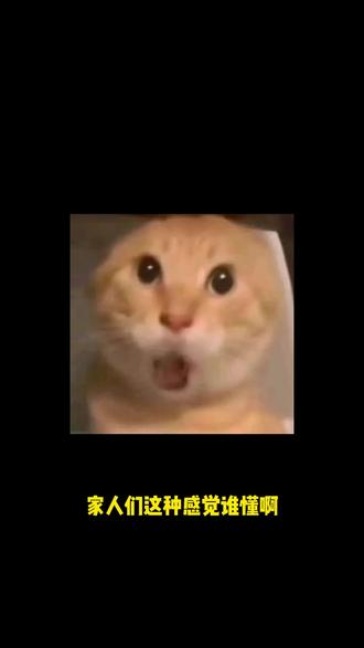 逛劲酒养生乐园,沉浸式解锁草本养生和潮玩互动#健康中国年劲酒贺团圆 #马上出发玩尽兴 #养生时代福你上马