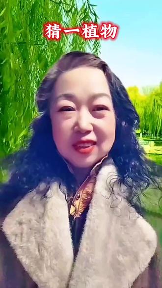 脑筋急转弯,猜一下这是什么植物#趣味问答#脑筋急转弯#每天进步一点点#抖加🔥DOU+我要上热门🔥热点宝#愉快对口型