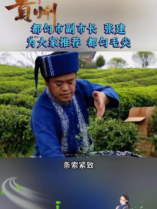 #召唤茶友 #爱喝茶的关注我 #今天你喝茶了吗 #都匀毛尖 #口粮茶推荐