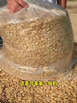 桶装南瓜子,户外野餐抓一把,脆响就是快乐#嗑瓜子 #零食推荐