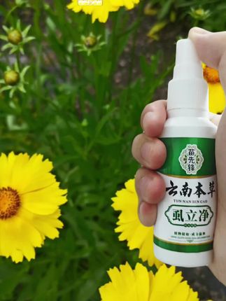 #虱子 #虱子去除大法 #百部酊喷剂 #阴虱喷雾剂 #病虫害防治