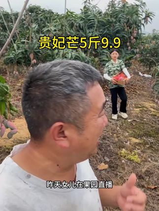 #芒果 #贵妃芒