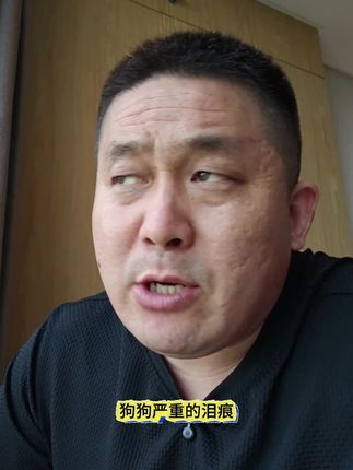 推荐一款宠物泪痕口服液#宠物泪痕口服液推荐