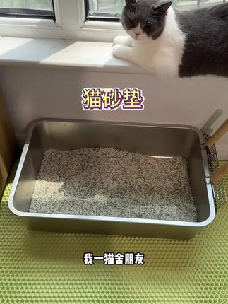 夸孩子也是一门学问要用对方式,不然只能适得其反。#亲子教育 #育儿 #家庭教育 #父母课堂 #干货分享