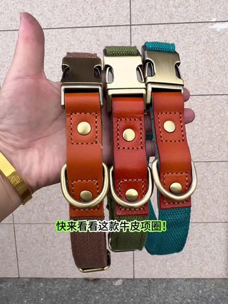 遛狗项圈刻字防丢狗脖圈中小型犬泰迪定制遛狗拉布拉多狗脖套金毛#好物推荐🔥 #好物分享 #实用工具 #实用小技巧 #精品推荐