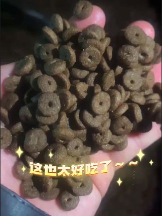 圈圈猫粮,大圈圈猫咪爱吃