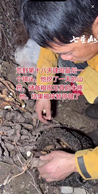 荒野第十八天建哥最后一个镜头,他挖了一天的山药,真的心疼他。结果被按暂停健了#老六荒野建哥#荒野永动机#永动机建哥#老六荒野求生第二季