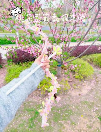 春日桃花弓箭教程来啦#桃花弓箭 #教程