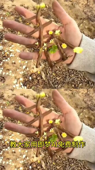 你们都在找的春日鲜花弓箭转场教程来啦!
鲜花弓箭转场 鲜花弓箭转场特效 鲜花弓箭转场特效教程 鲜花弓箭 鲜花转场 春天鲜花 鲜花弓箭转场特效指令 弓箭转场 鲜花弓箭转场特效ai指令 花弓箭转场特效 携鲜花弓箭赴一场春日之约 鲜花弓箭视频素材 鲜花弓箭ai教程 鲜花弓箭转场教程 花弓箭精准射中我心巴 桃花弓 鲜花弓箭特效教程 桃花弓箭原视频 桃花弓原创 桃花弓特效 花弓制作教程 扭扭棒桃花弓箭教程 桃花弓喜鹊完整版 漂亮的花弓箭 花弓箭慢动作 携鲜花弓箭赴一场春日之约 鲜花弓箭教程 鲜花才是最低成本的美学艺术 携鲜花弓箭赴一场春日之约制作 弓箭仙气古风 花弓箭 鲜花弓箭原视频 花弓箭女博主 花弓箭慢动作 花弓箭制作教程 花弓箭拍摄技巧分享 桃花做的花弓箭 #转场 #鲜花弓箭 #即梦Ai #AI分身戏精大赛 #我的AI分身杀疯了