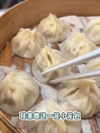 #无锡小笼包鲜肉灌汤包