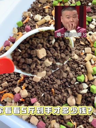 这价格真🫶🏻🫶🏻喜欢 哇塞,这款猫粮打开就惊呆铲屎官了,0色0诱食剂,把我家猫咪吃的圆润又可爱#萌宠好物#养猫新手#科学养宠攻略 #猫粮 #猫粮工厂