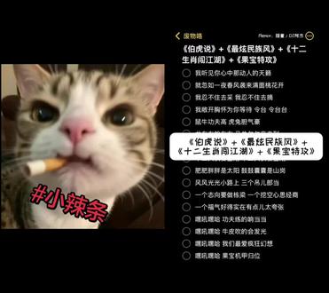 和 @废物咯 一起 #合拍 也是雷霆大更新#童年歌曲串烧 #伯虎说 #果宝特攻 #十二生肖