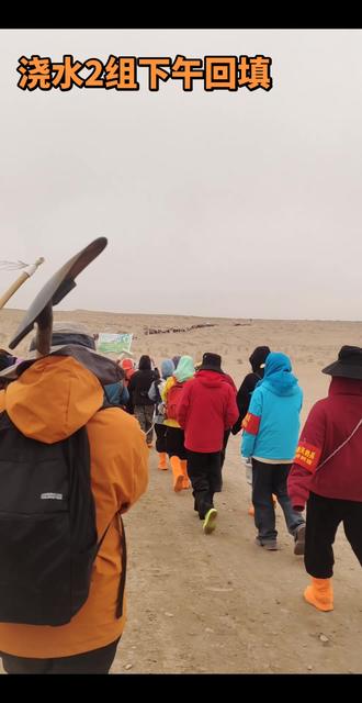 猛女种地第二天(2026.3.13 14:00)
浇水2组:回填
#请到民勤种棵树 #禾伙人