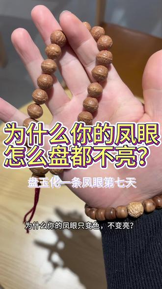 盘了很久为什么你的凤眼就是不变亮? 其实凤眼到后面玩的都是光气,有亮度玉化的感觉,但是现在大部分人玩出来都是单纯变色的玩意,就是因为骨质太差,以前我也不懂只图所谓的漏,小尺寸,现在是肯定不会了……#凤眼菩提 #文玩爱好者 #文玩 #凤眼菩提盘玩效果 #盘串我第一