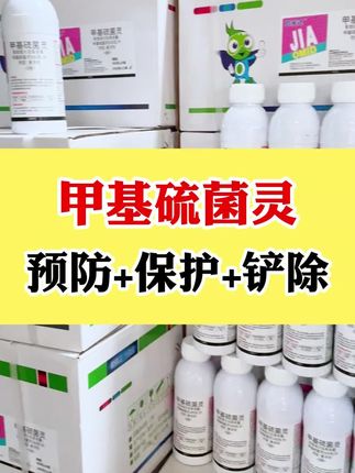 #三农 #病虫害防治 #甲基硫菌灵 #三农种植 #抖音助农
