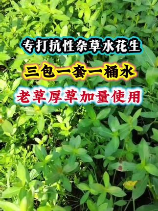 水花生专用 专灭抗性水花生 #三农 #新农人计划 #抖音助农