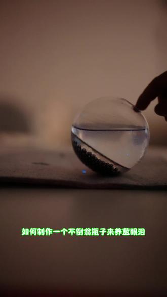 如何DIY一个蓝眼泪不倒翁
一直想找一款不倒翁瓶子来养发光海藻
在网上找了一圈只找到一个很小的,价格还死贵,干脆自己DIY一个,现在附上制作方法
#蓝眼泪 #发光海藻 #不倒翁