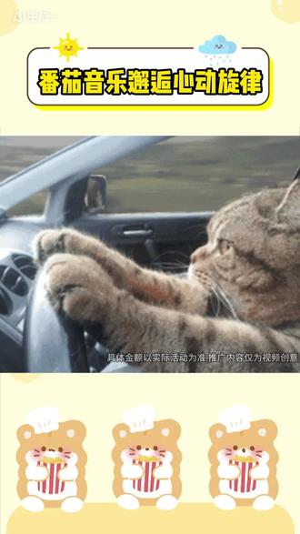 番茄音乐邂逅温柔旋律 #番茄音乐#免费听歌