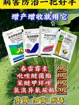 #服务三农支持三农 #我的农资之路 #三农种植 #每天分享科普知识