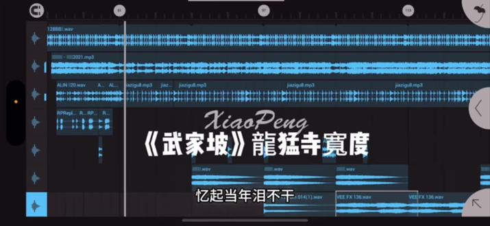 再听一遍武家坡 愿我们前路无坎坷#武家坡#龍猛寺寬度#混音