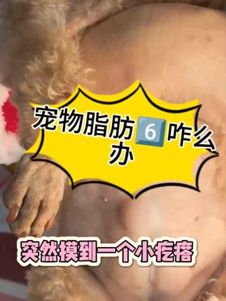 #宠物#猫咪#狗狗#宠物脂肪瘤 猫咪狗狗有这种的可以试一下