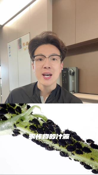 小虫子上街吃人啦😱到底是啥? #临汾 #虫子