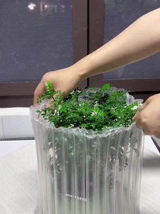 喜欢养绿植的朋友们注意了,这种好看又好养的胡椒木一定不要错过!它是多年生的植物,一年四季都是绿色的,放在家里可以净化空气,而且它的叶子还有淡淡的香味哦。#爱生活爱养花 #好养的室内树木 #净化空气