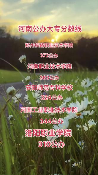 河南高考分数线,大家仅供参考