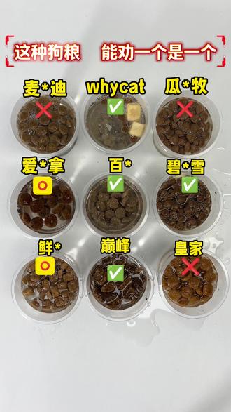 在家就能做的狗粮泡水测试,这种狗粮能劝一个是一个
#狗粮推荐#狗粮 #whycat狗粮 #抖音第0届拼豆大赛 #如果没有他你还爱我吗