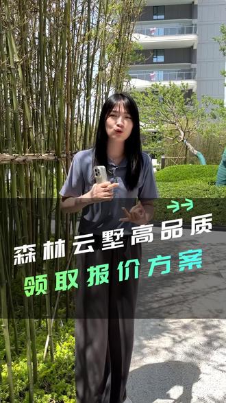 森林云墅方案和报价 #新乡#装修#装修设计#装修报价