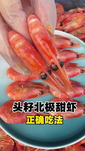 头籽北极甜虾正确吃法 #北极甜虾 #北极甜虾正确吃法 #头籽北极甜虾 #国王北极甜虾 #北极虾