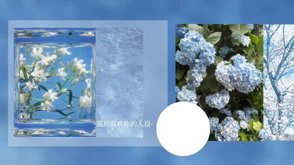 遇见了一个属于我自己的小玫瑰#我只喜欢你的人设 #自习CP #雨下一整晚 #稚楚 @予椿、 @淋的也是雨 @Yuin_小魚 @soely-