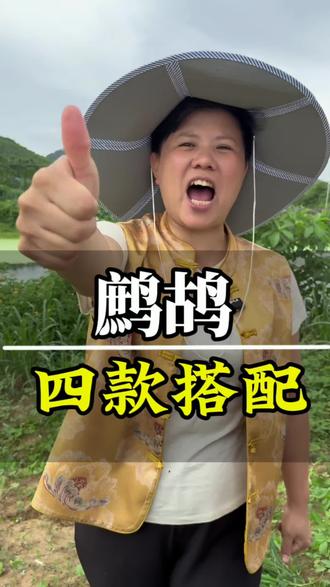 鹧鸪的四种养生搭配。#生活小常识每天跟我涨知识 #鹧鸪