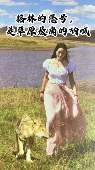 看哭了!格林第一次用狼族古老哭腔哀号,为逝去同伴,为濒危族群,为满目疮痍的草原。人间喧嚣,森林却在绝望悲鸣,别让这份苍凉成真,敬畏自然从心开始。
#重返狼群 #格林 #李微漪 #保护野生动物 #读书博主