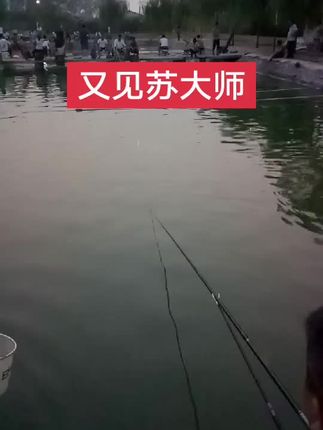 喜欢的老铁点个爱心加个关注再走吧!