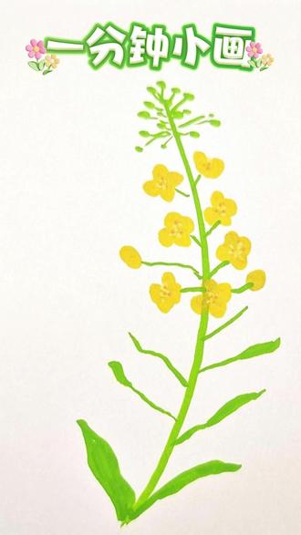 不必急着赶路,看一场油菜花盛开,就懂了春天所有的治愈。#丙烯马克笔绘画 #跟着抖音学画画 #绘画跟练