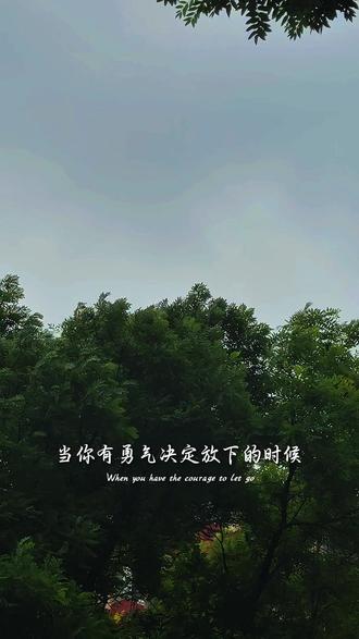 心宽才能才能百事欢 #上热门 #情感语录#情感共鸣#随拍#人生感悟