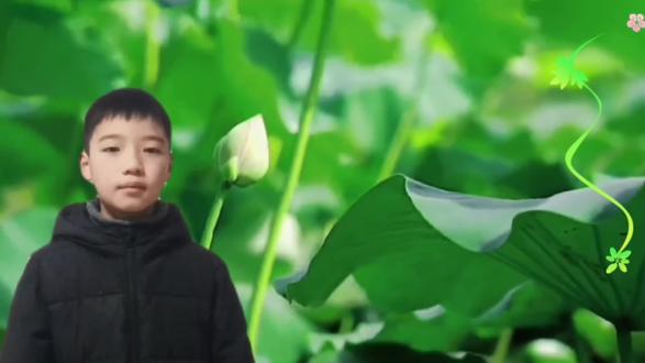 三年级下册课文第③课《荷花》2、3自然段背诵#语文学习