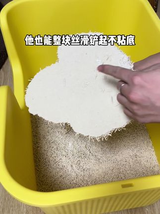 简直是猫砂的终极答案啊 #养猫人 #萌宠好物 #猫砂 #猫砂测评