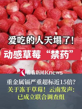 爱吃的人天塌了!打"禁药"!
重金属镉严重超标近15倍?
关于冻干草莓!云南发声:
已成立联合调查组
送检造假买报告?行业乱象曝光!#冻干草莓 #禁药